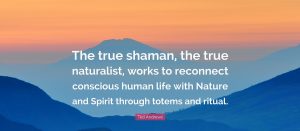 Shamanic healing 