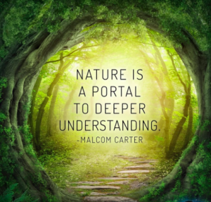 NATURE AS MEDICINE