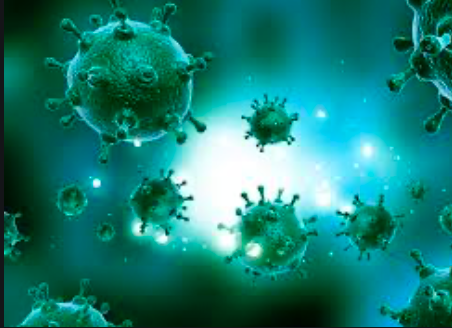 Coronavirus Immunity