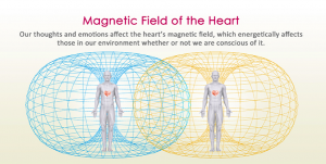 Meditation - the HEART BRAIN