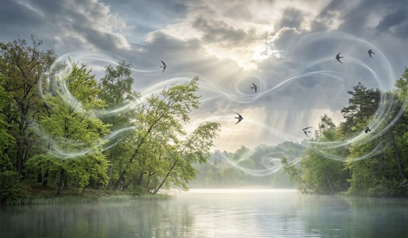 The Unseen Actor | Peace Of Mind Health | Hinckey | Leicestershire | Therapy